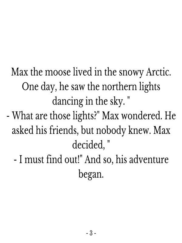 Northern Lights Adventure product image (4)