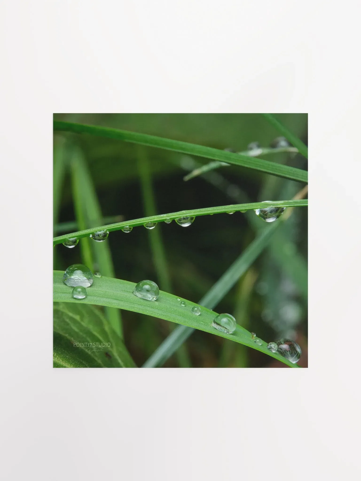 Dew Gems #9 - Print product image (2)