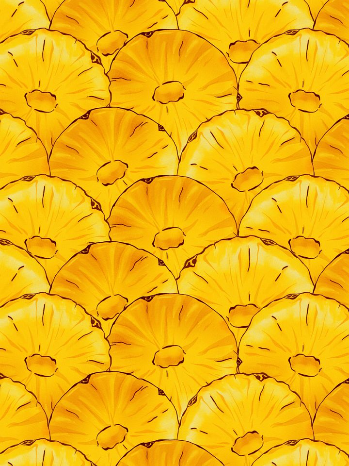 Pineapple Slices Single Seamless Pattern product image (2)