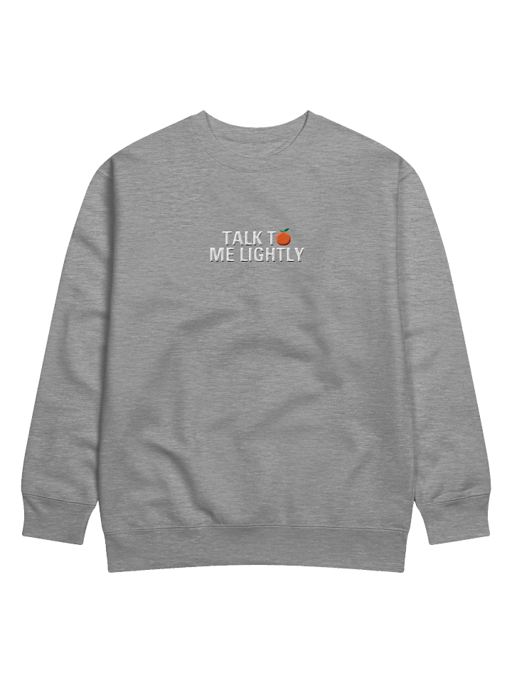 Talk To Me Lightly Embroidered Crewneck product image (1)
