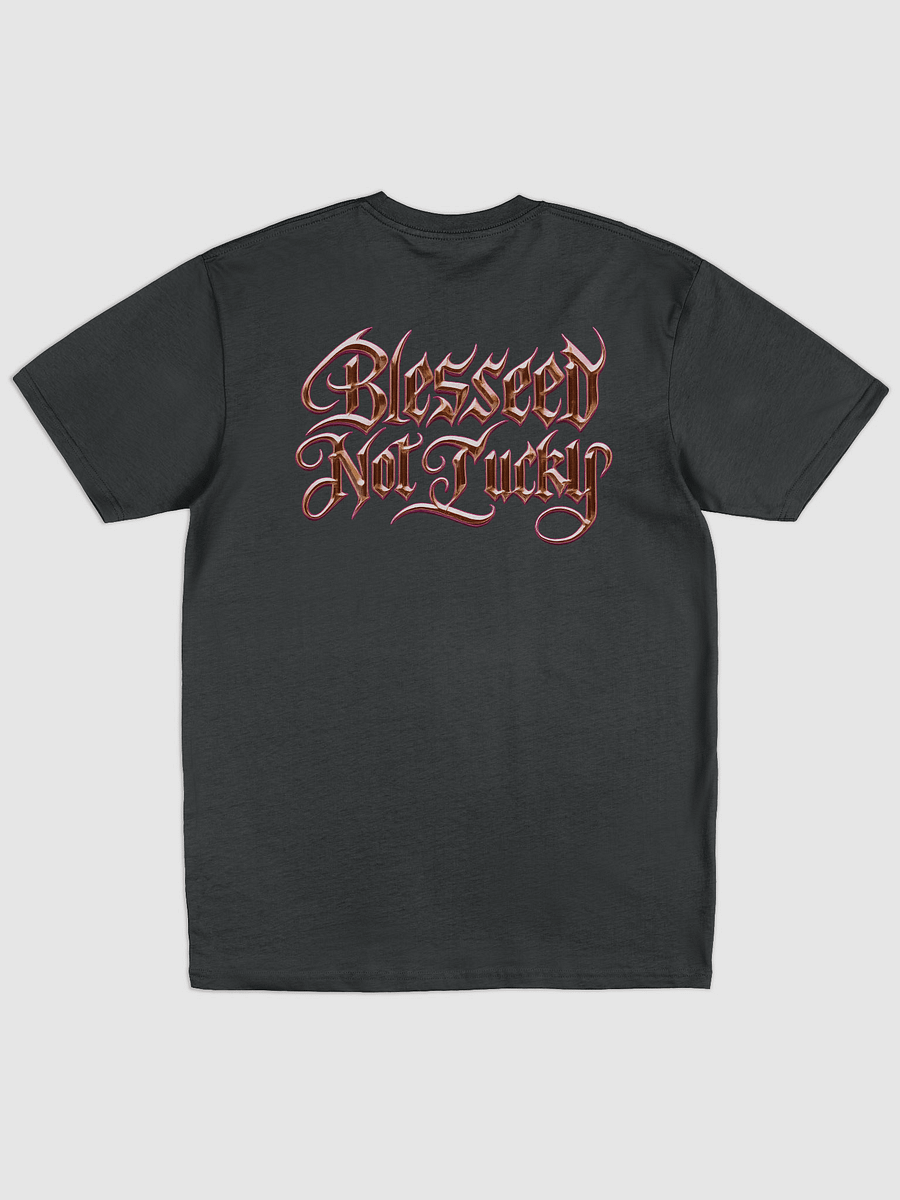 BLESSES, NOT LUKCY Premium Heavyweight product image (2)
