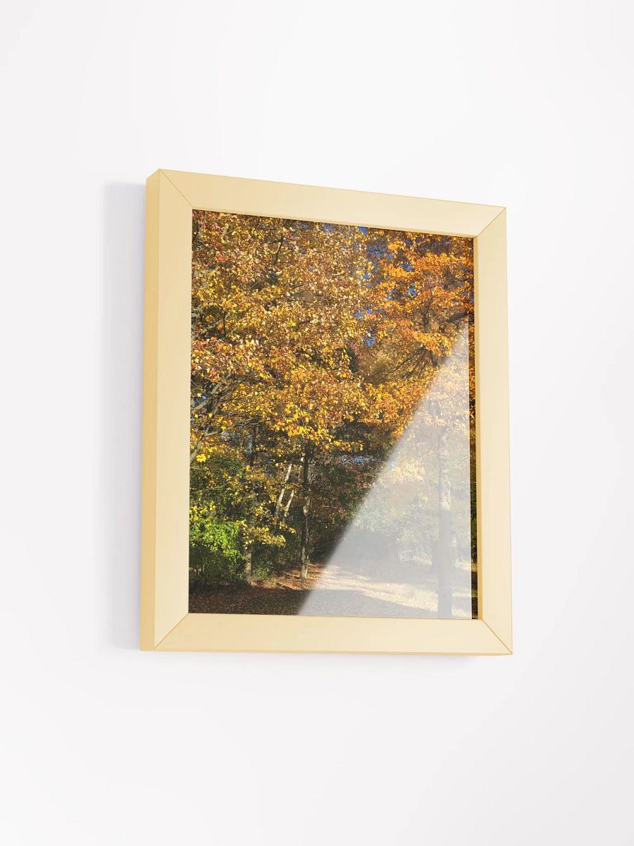 Fall Leaves High Quality Matte Poster product image (2)