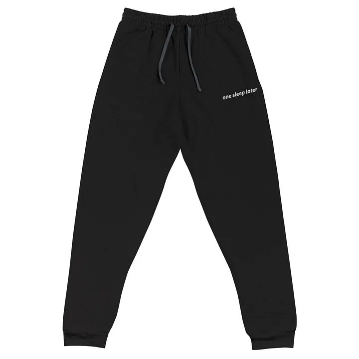 One Sleep Later Embroidered Joggers product image (1)