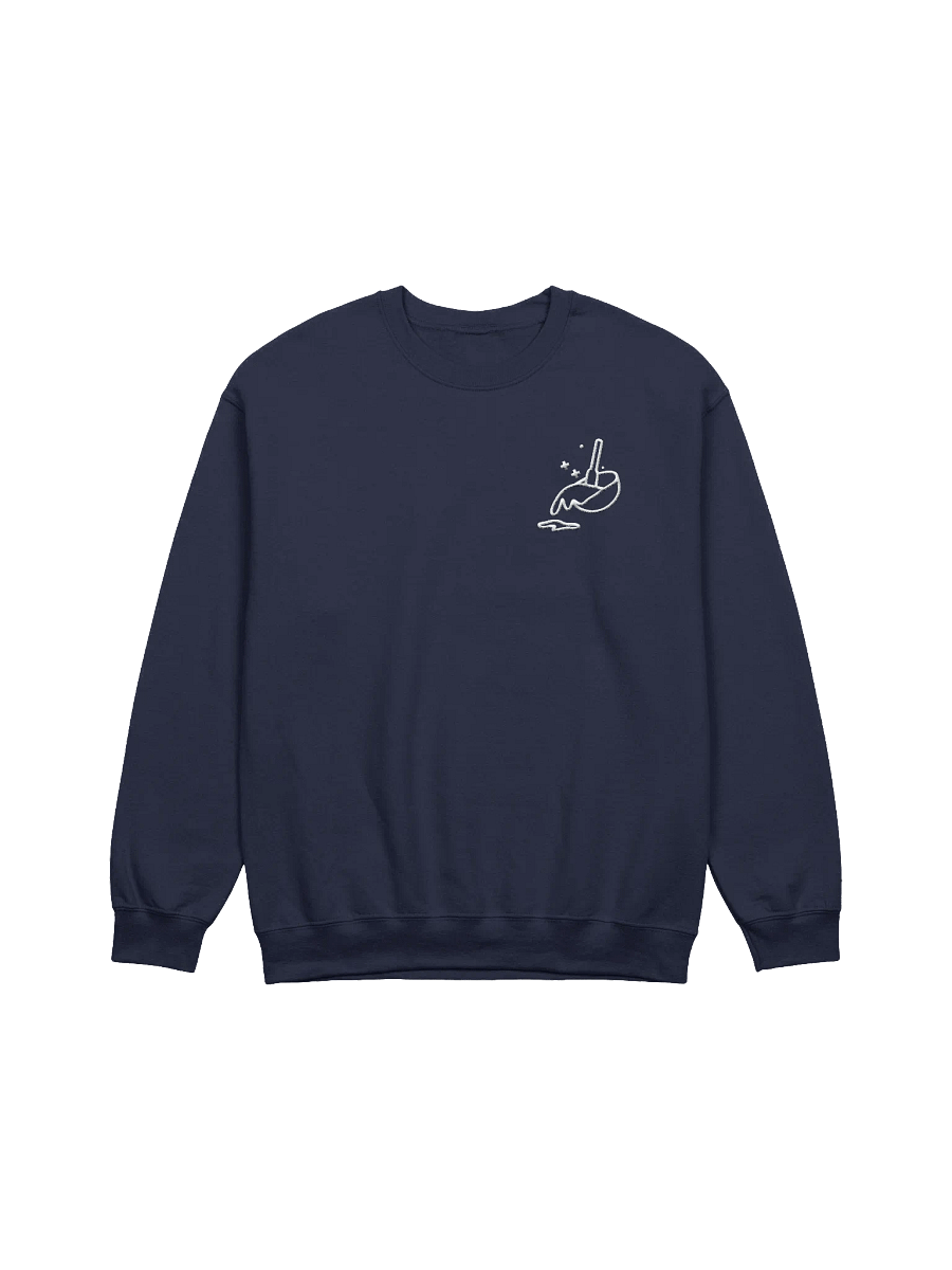 The Amateur Embroidered Sweater (Dark) product image (3)
