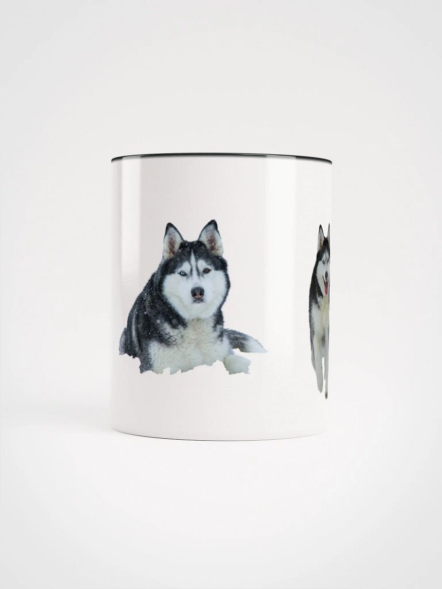 Majestic Siberian Husky with two different colored eyes product image (1)