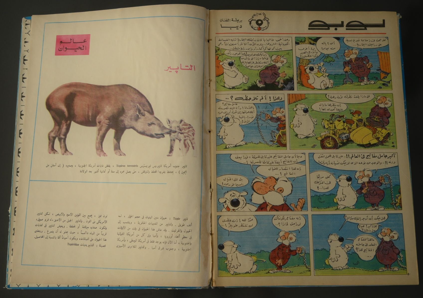 مجلد مجلة تان تان عام 1974 (المجلد الحادي والثلاثون) product image (6)