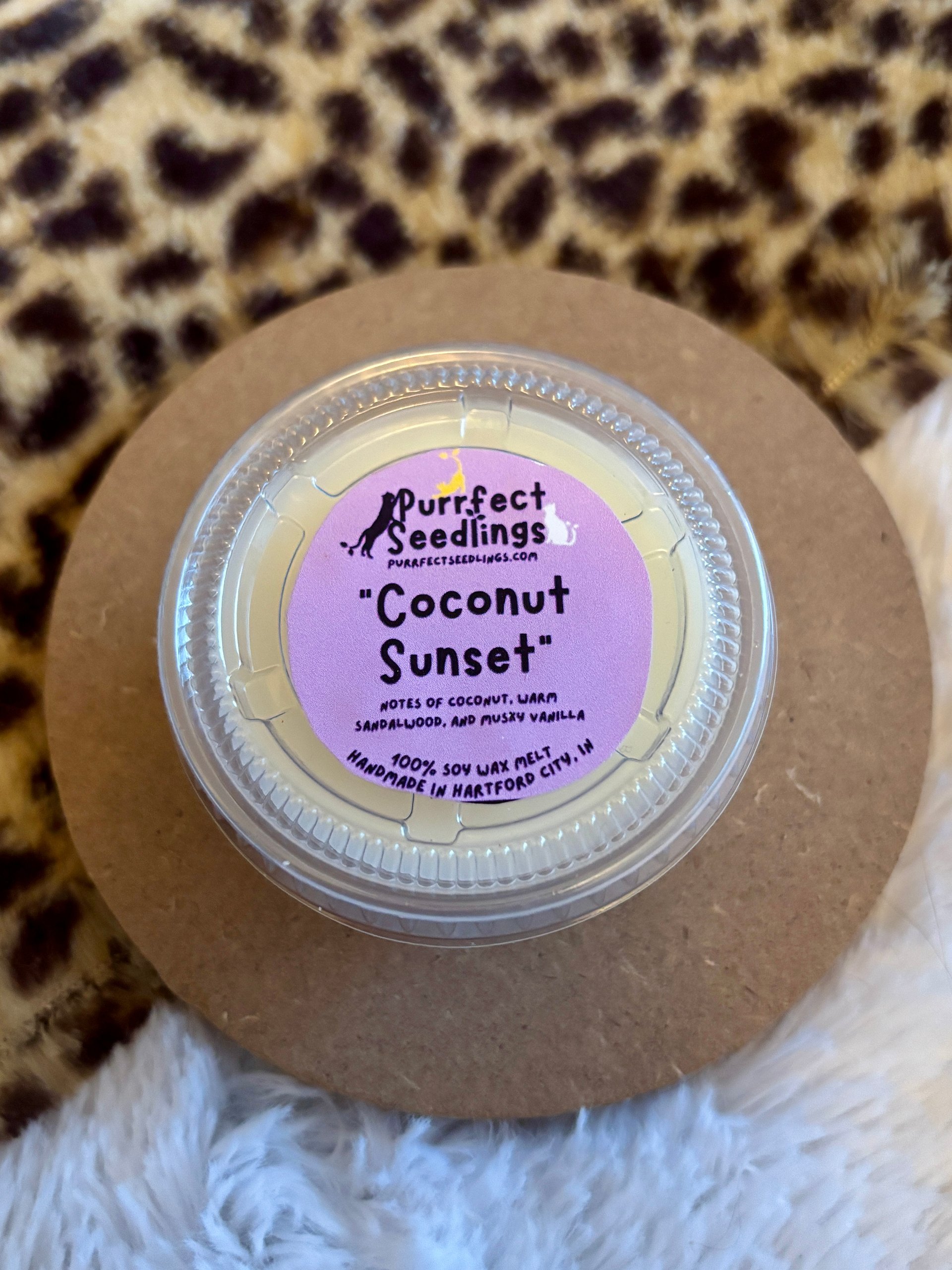 Coconut Sunset Wax Melt (LIMITED EDITION) product image (3)