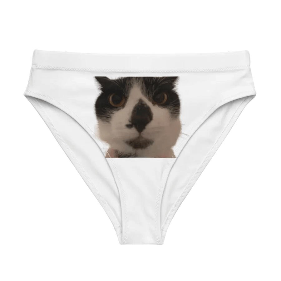 KYLO PANTIES product image (1)