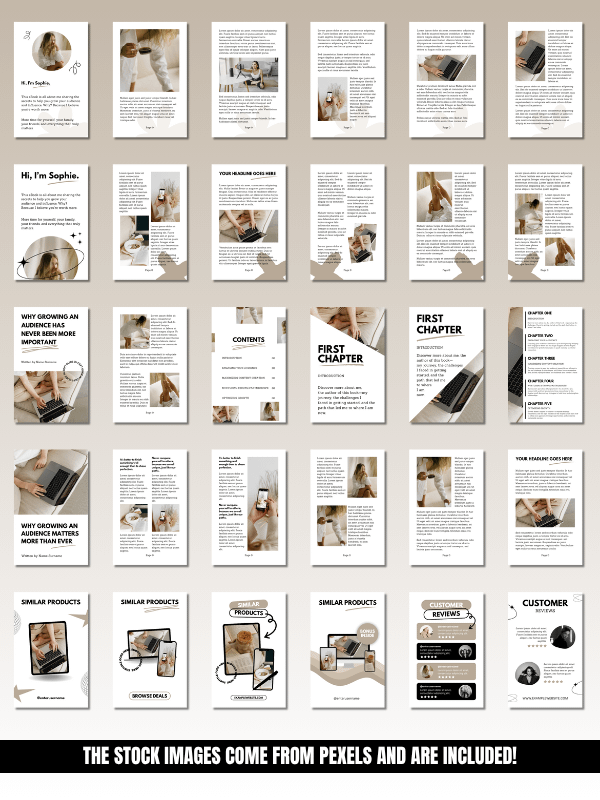 MRR/PLR Business eBook Template in Canva product image (7)