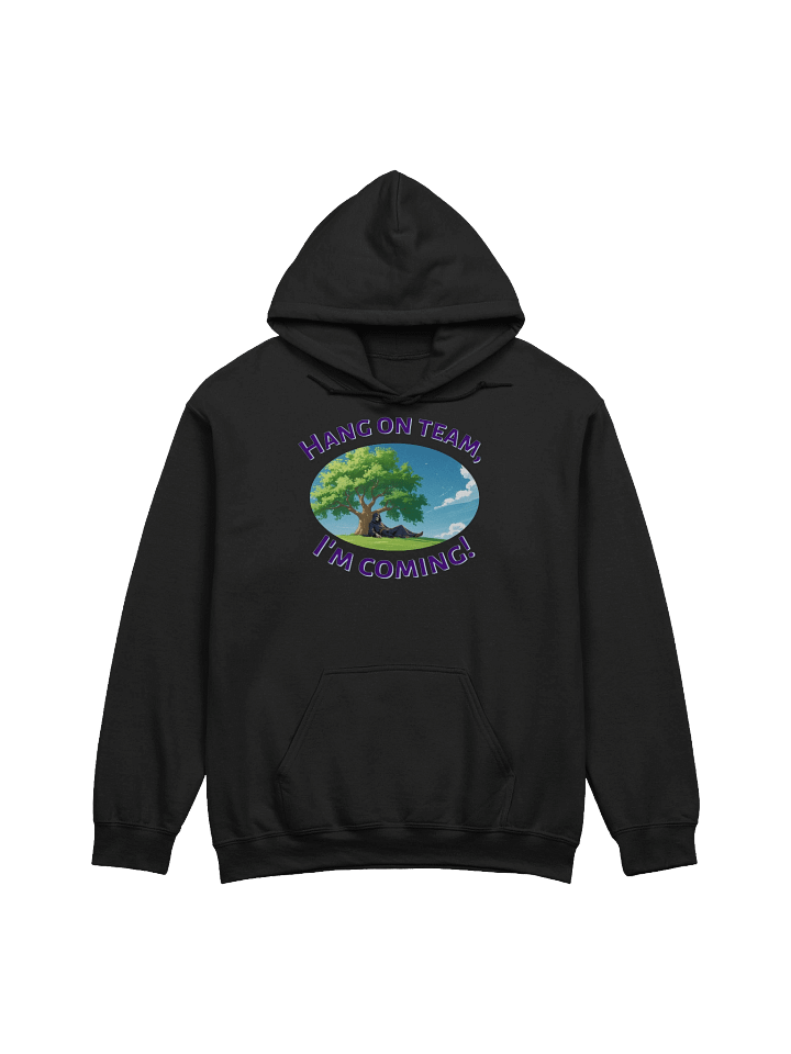 XE Hang on team, I'm coming! hoodie product image (1)