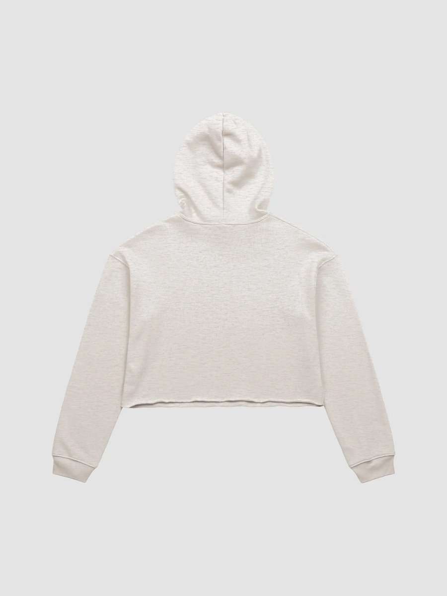 TRS Compass Crop Hoodie product image (2)