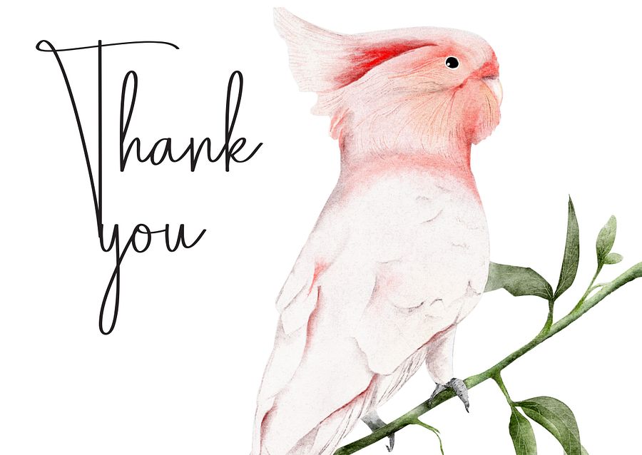 thank you cards bird 3 different birds product image (6)