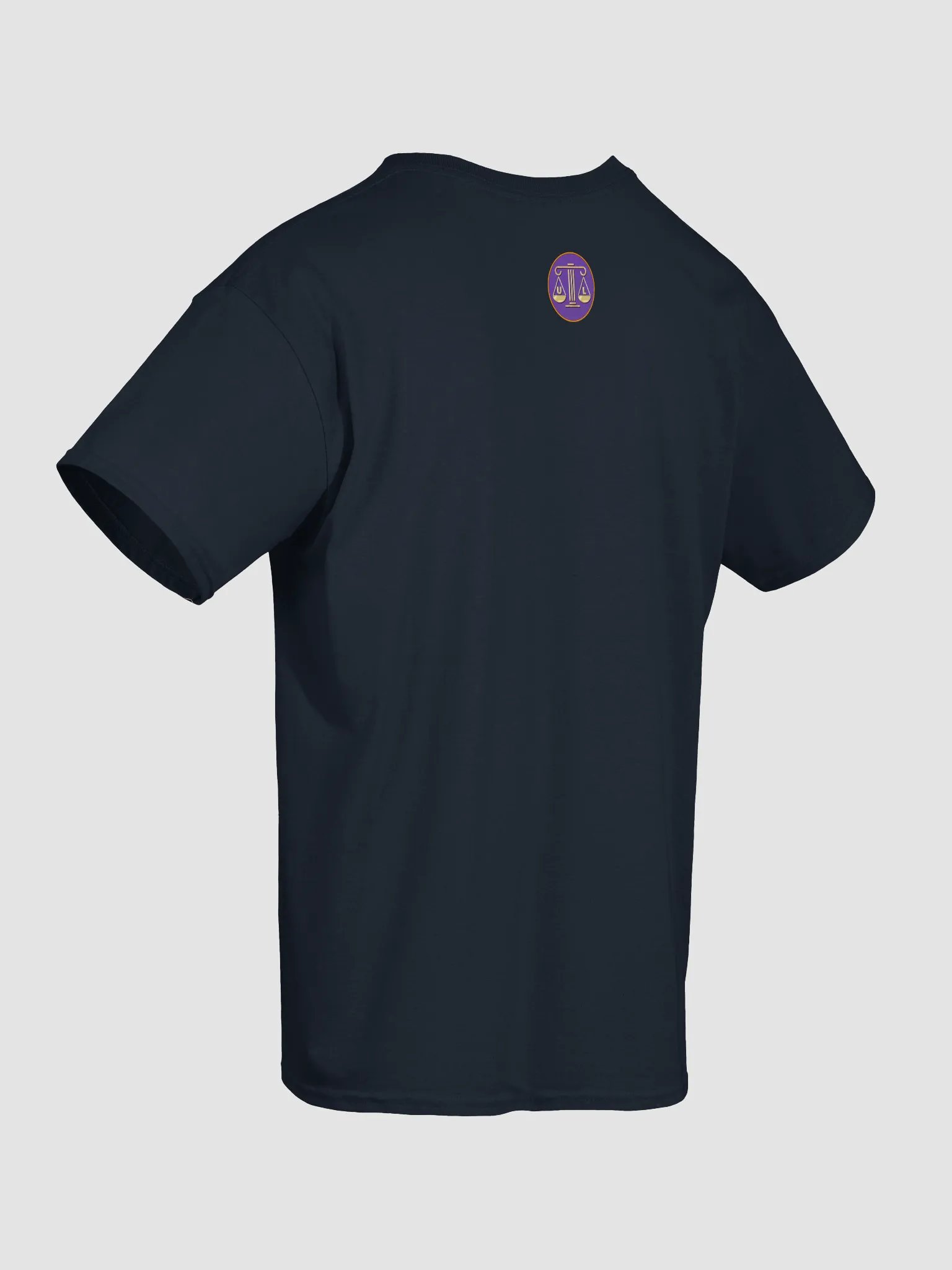 Currently pursuing... T-SHIRT product image (51)