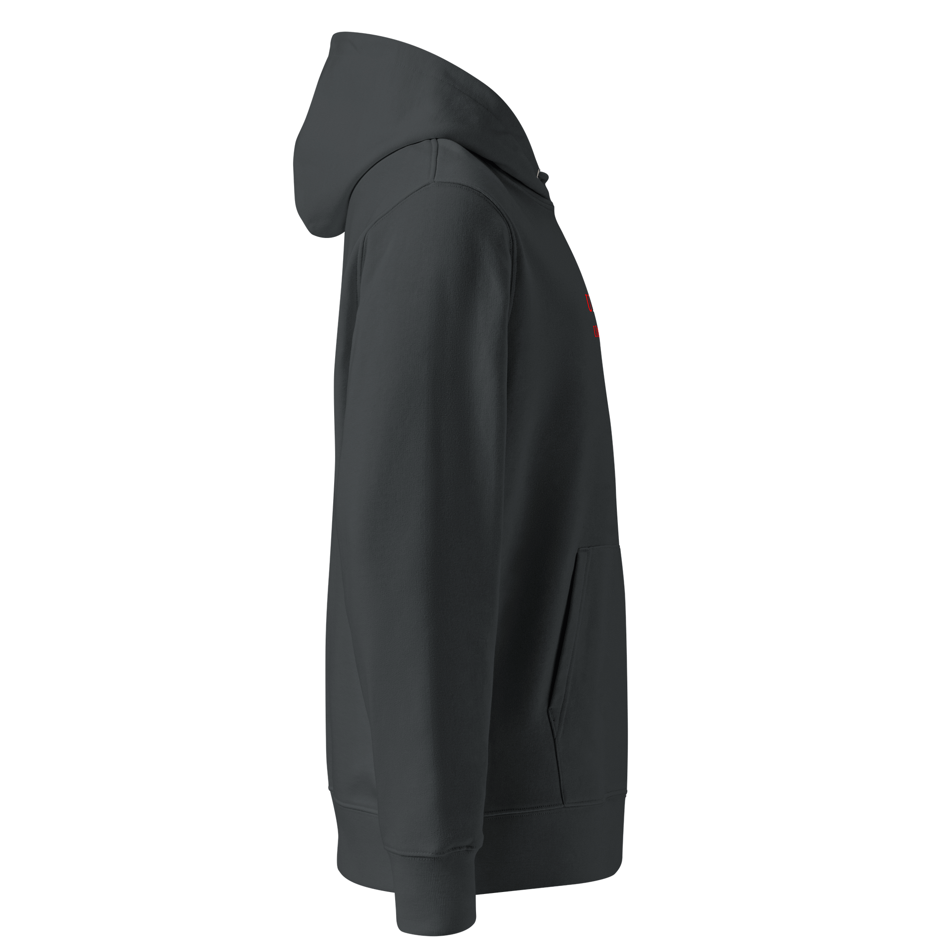 UFO Ultraconservative Family Oriented Hoodie product image (4)