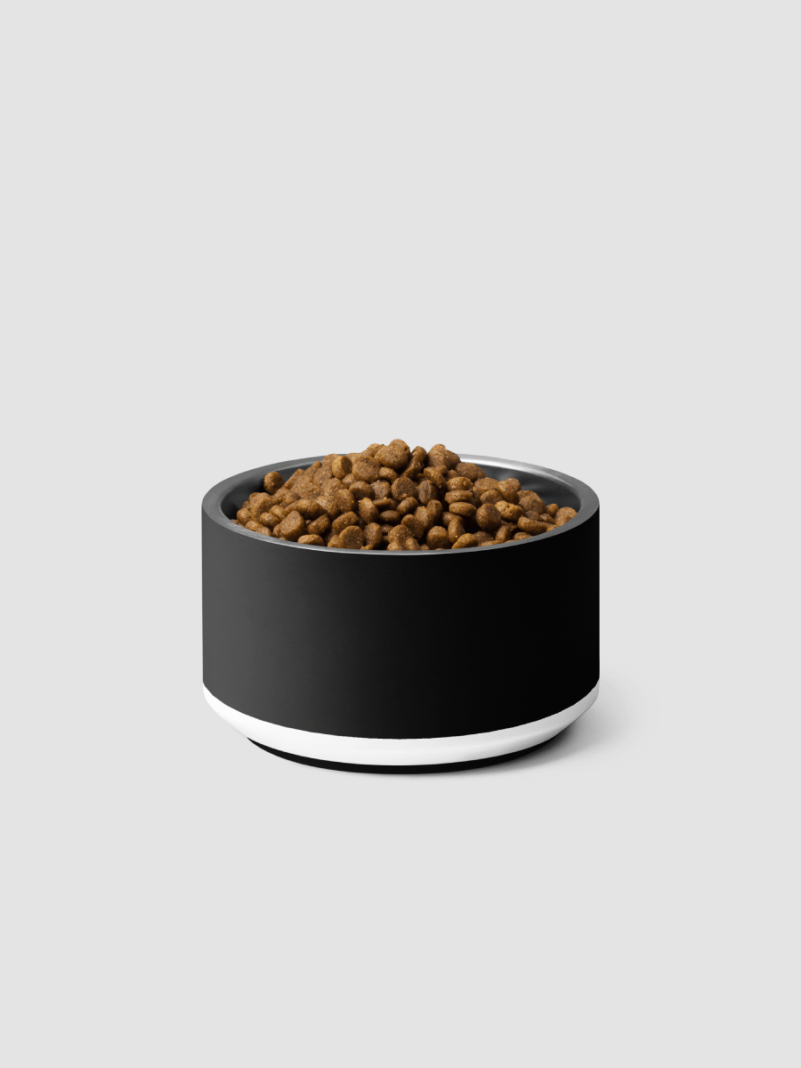 [BrandontheChihuahua] Pet Bowl product image (3)