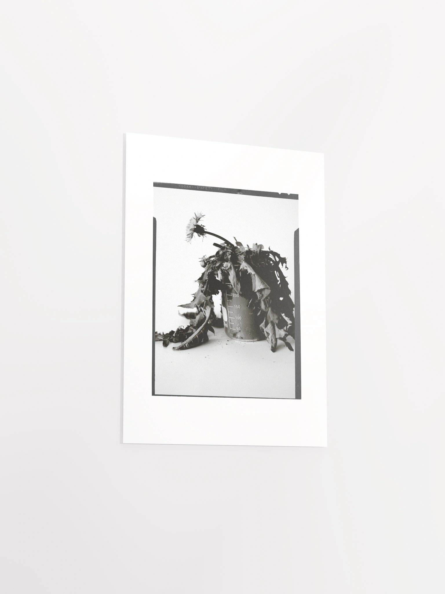 James C'Avedon Print • "Mud Portrait #1" product image (20)