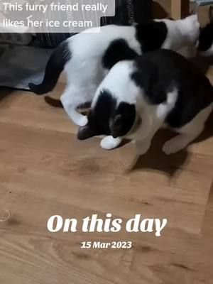 #onthisday