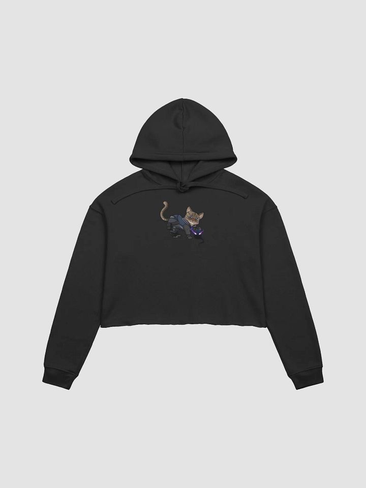 Fadison Cropped Hoodie product image (2)