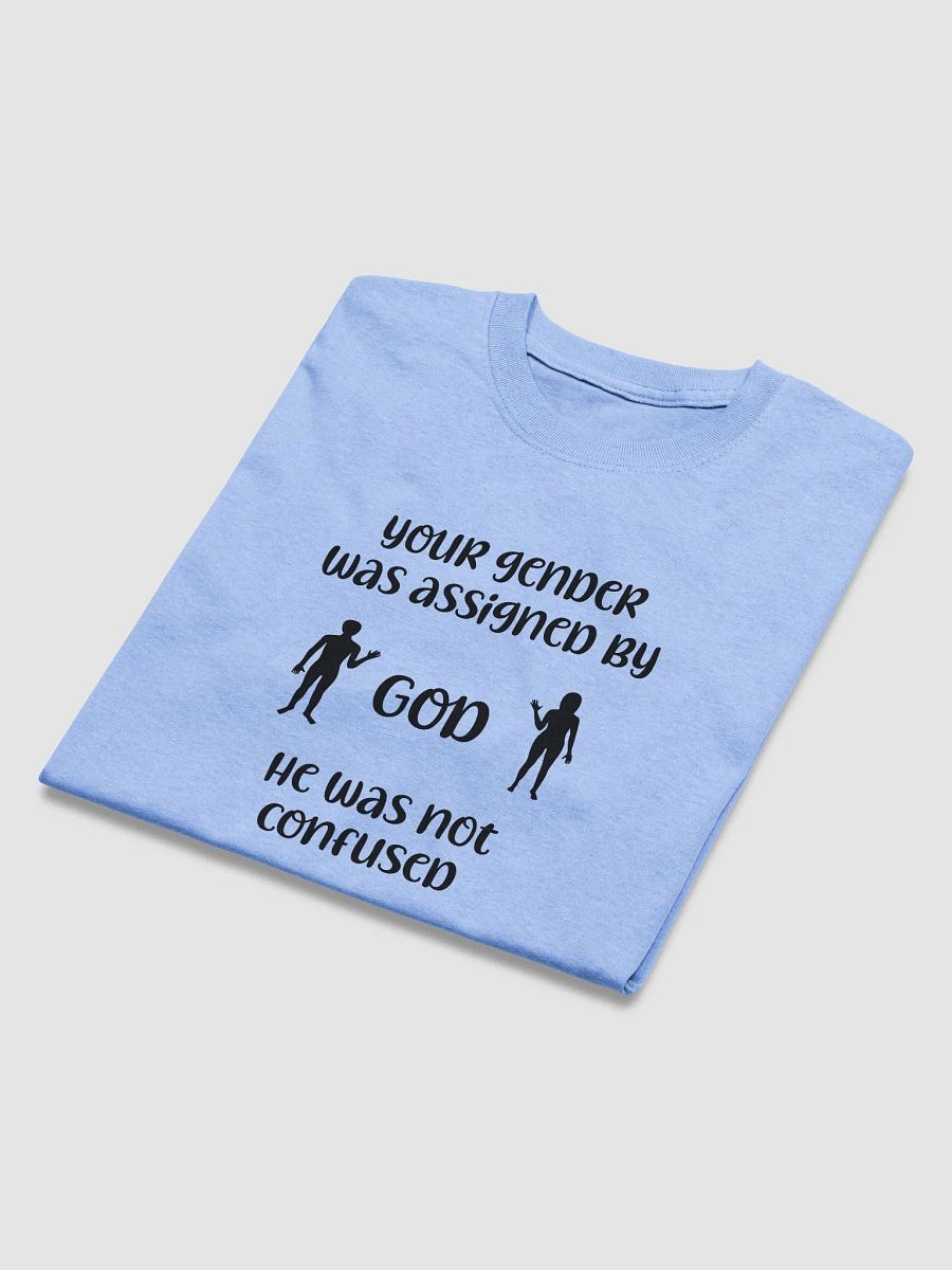 Your Gender Was Assigned by GOD. Midweight Streetwear Vibes Tee product image (4)