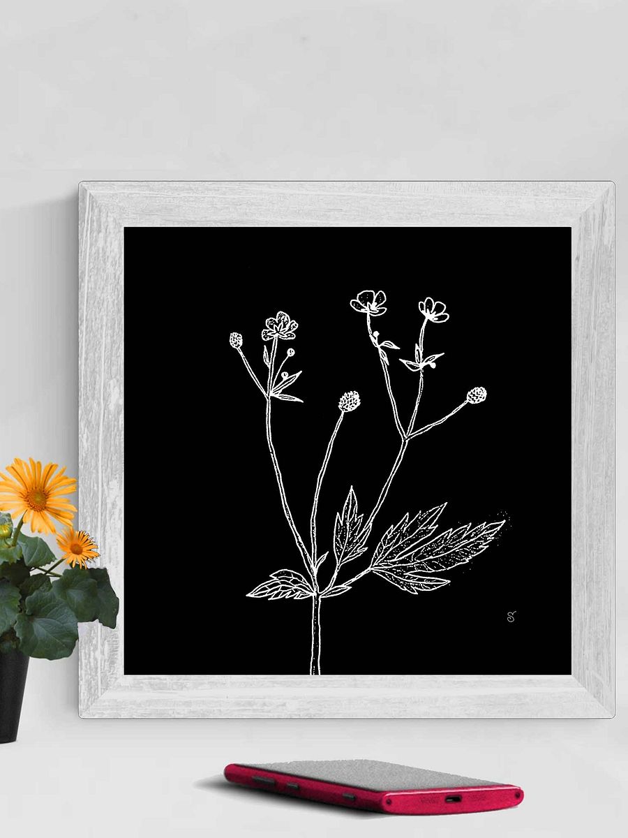 Botanical Reverie Canvas Prints - Wild Flowers Dark product image (3)