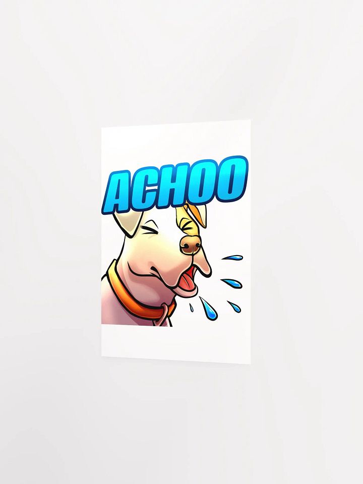ACHOO Poster product image (2)