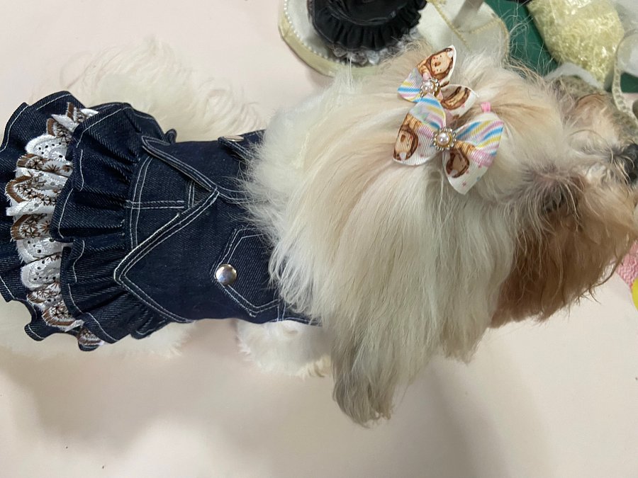 Vestido Pet Charminho Casual - Modelagem Pet PDF product image (4)