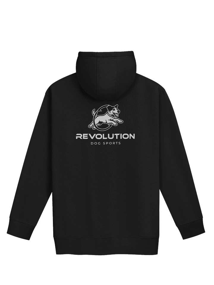 RDS Logo Hoodie 3 product image (15)