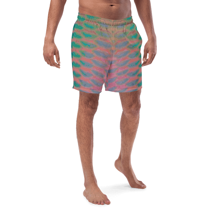 Parrotfish - Men's Swim Shorts - Recycled Polyester product image (1)