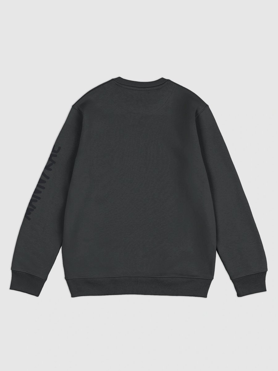 Panda Eco Sweater product image (6)