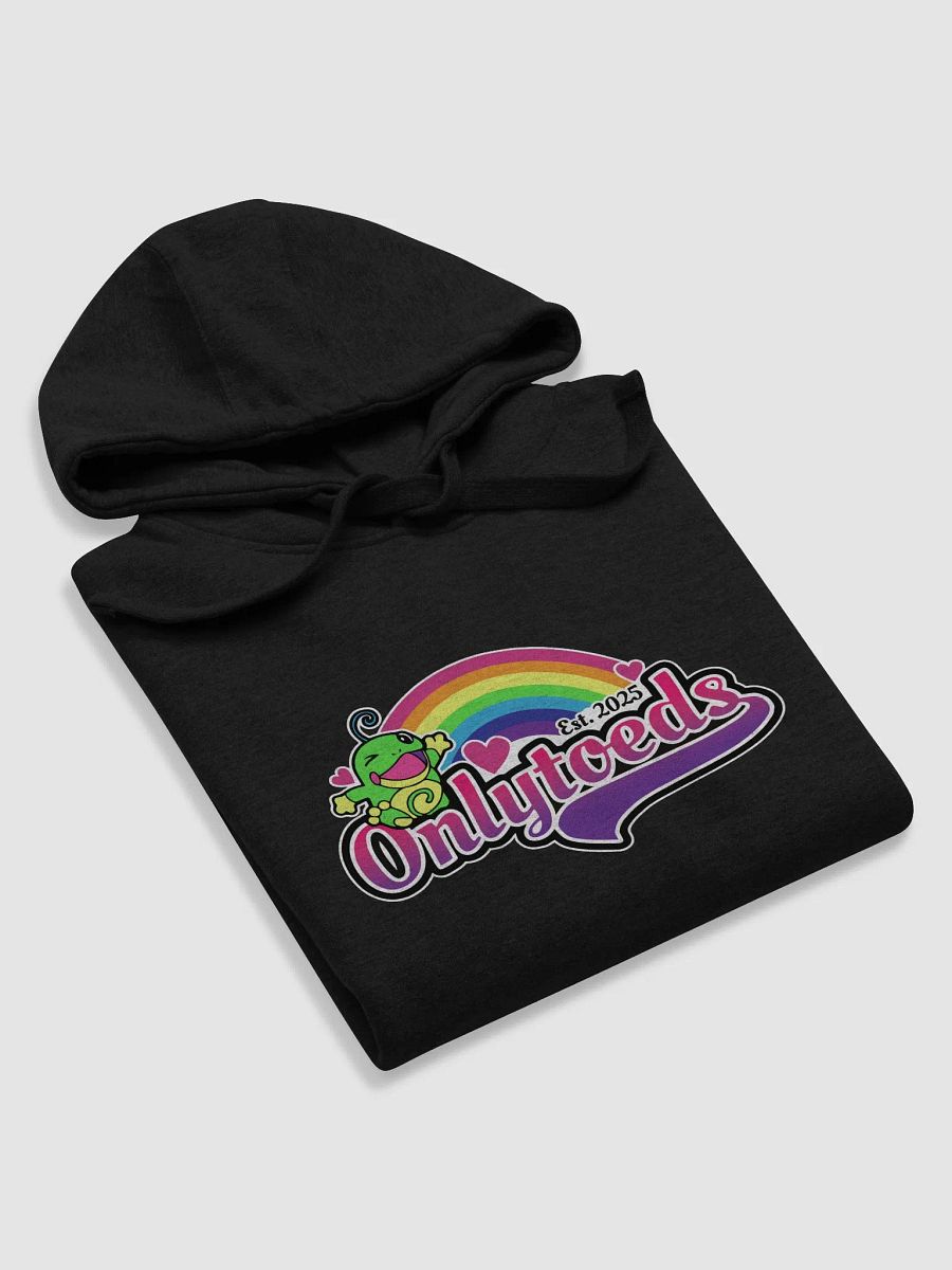 ONLYTOEDS HOODIE product image (69)