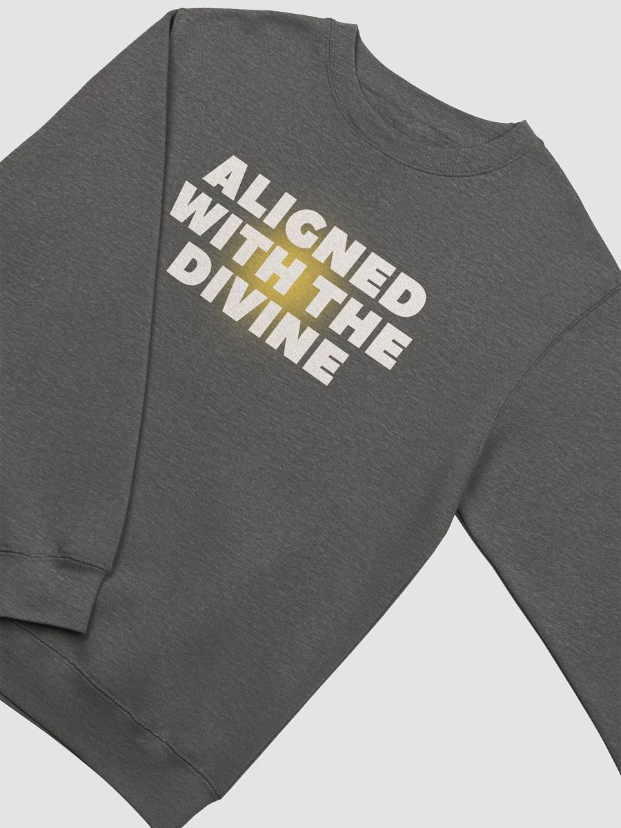 ALIGNED WITH THE DIVINE SWEATSHIRT product image (1)