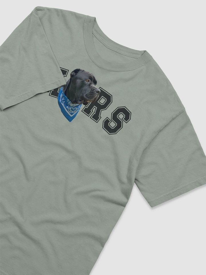 Mars Short Sleeve Tee product image (1)