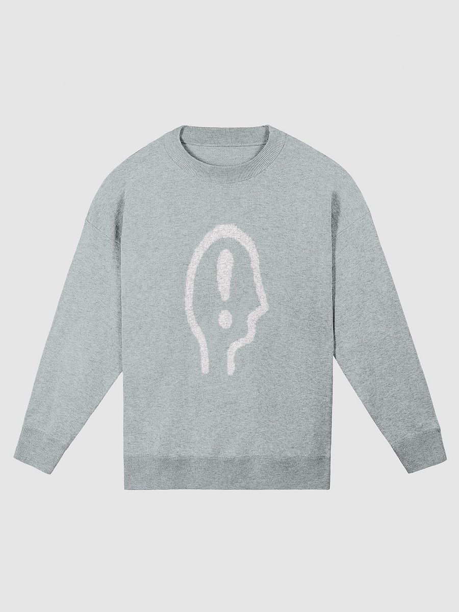 EXCLAIMING MENTALLY (lg. design, white and light blue) knitwear relaxed crewneck product image (2)