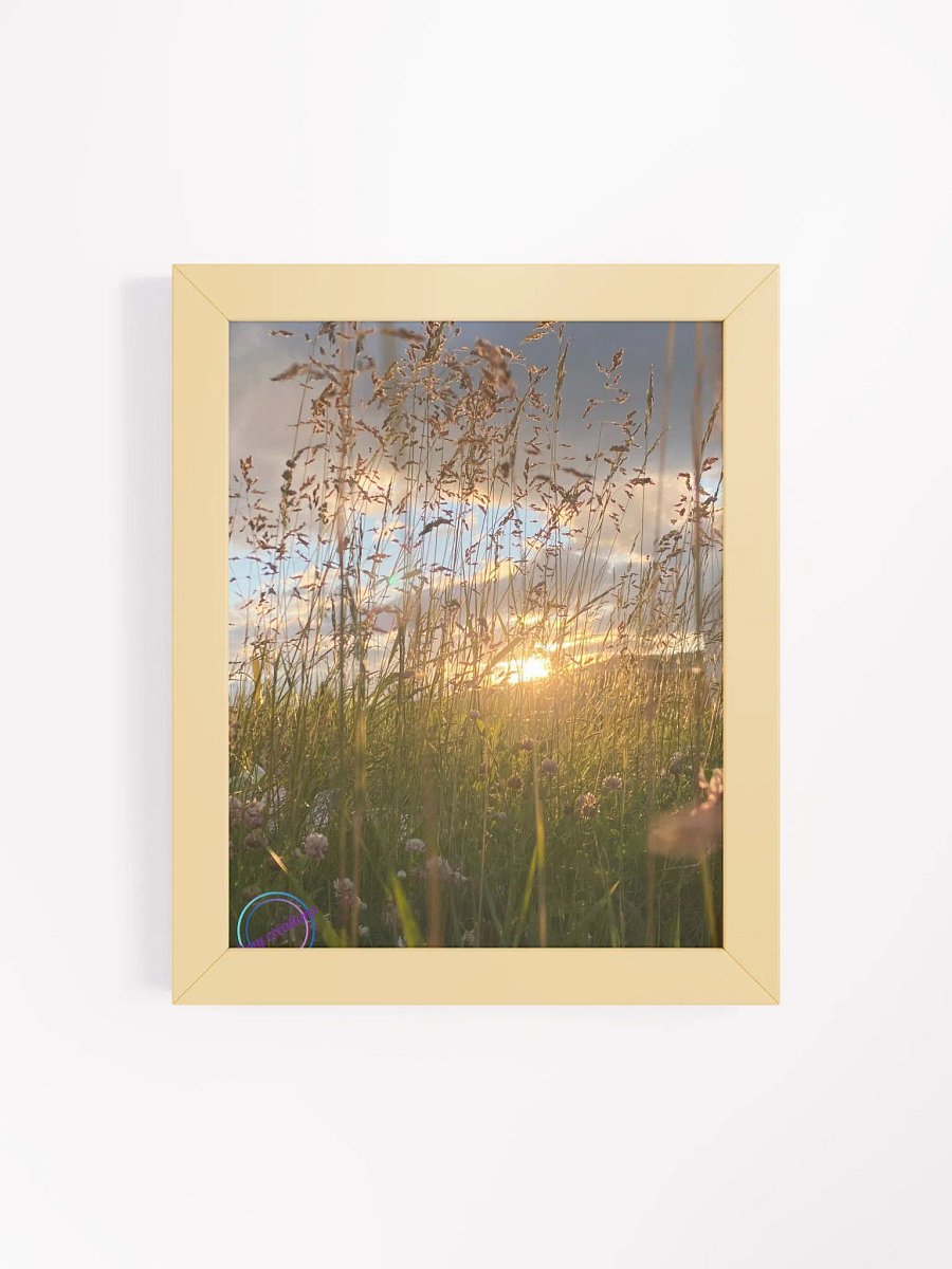 Looking Through the grass product image (4)