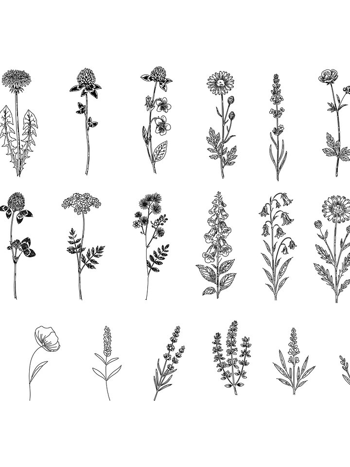 Botanical Line Art Bundle – Floral SVG Art Collection with Flowers, Leaves, Plants, and More product image (2)
