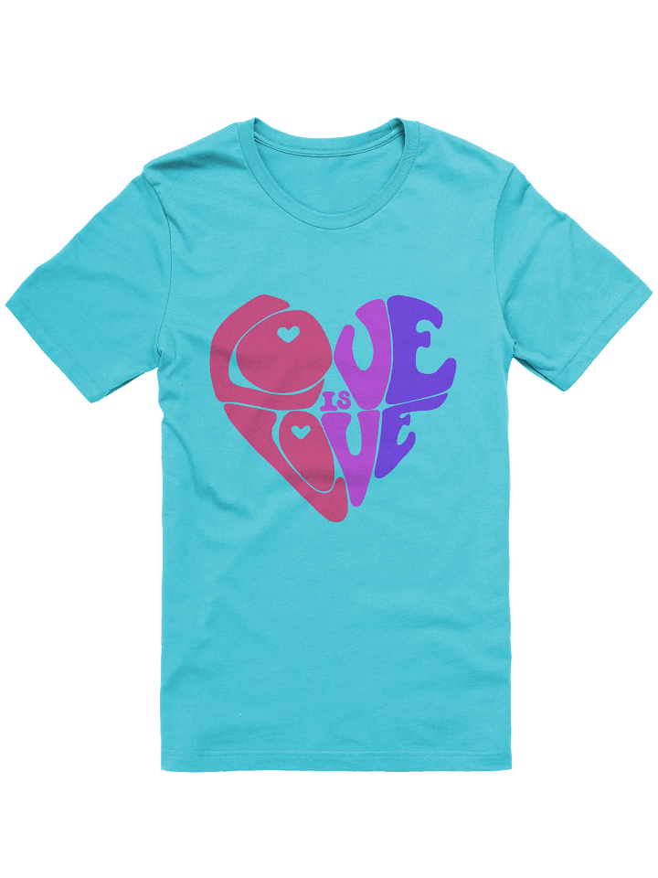 Bisexual Love is Love big print tee product image (1)