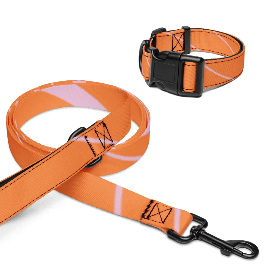 Striped Pet Collar & Leash Set product image (16)