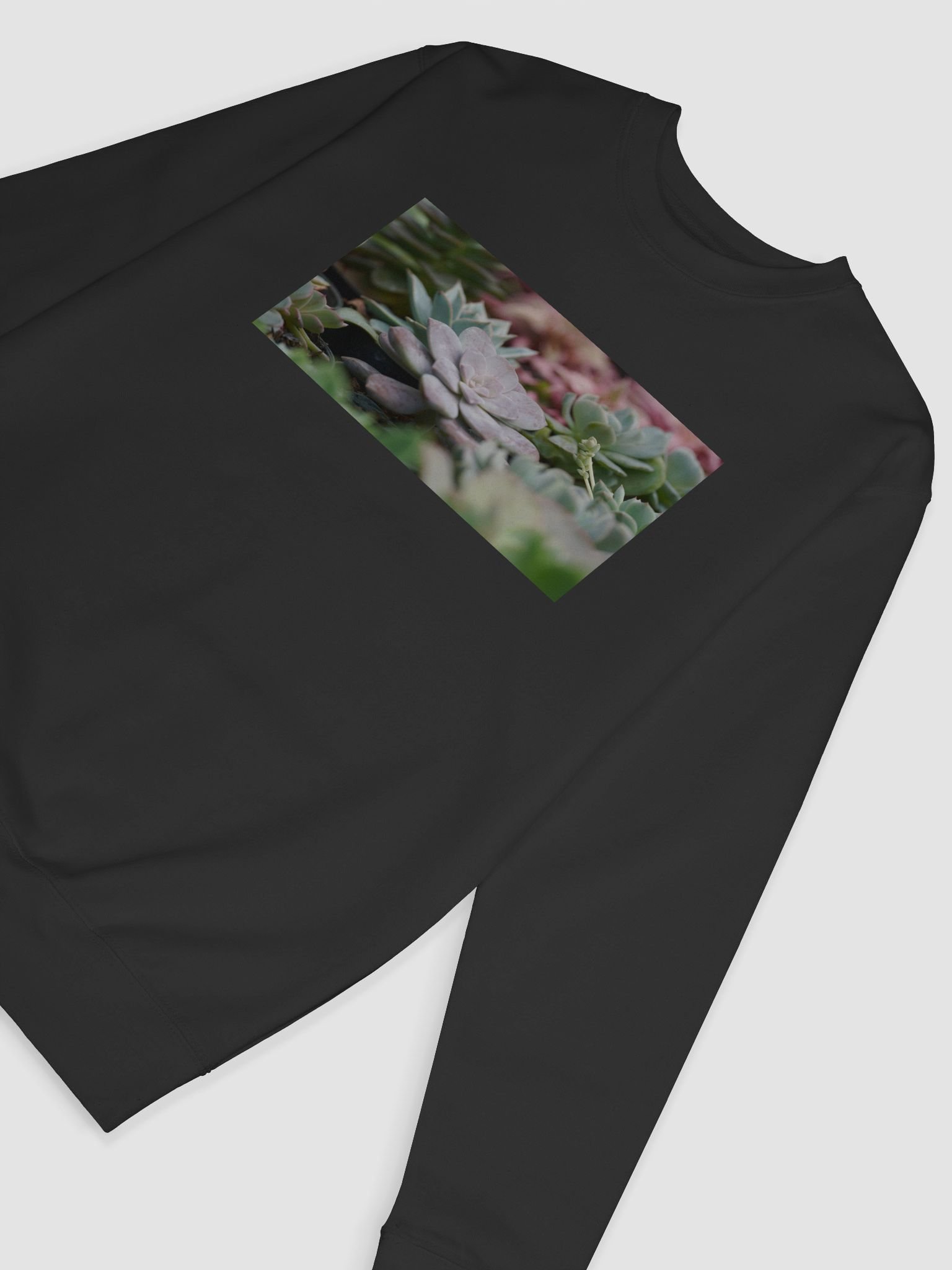Succulent Serenity Sweatshirt product image (6)