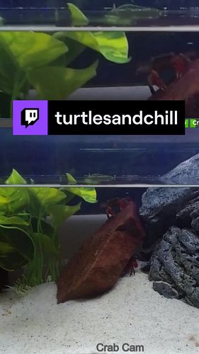 Hoppin' into the weekend? Let our stream elevate your vibe and kickstart your chill mode! 🌊🙌 #weekendvibes #relaxationgoals