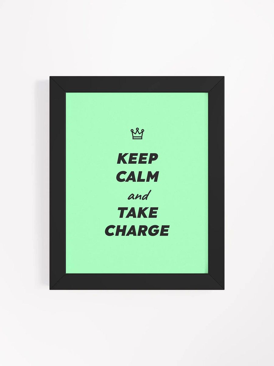 Keep Calm and Take Charge poster product image (48)