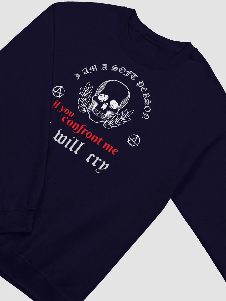 Soft Person classic sweatshirt product image (4)