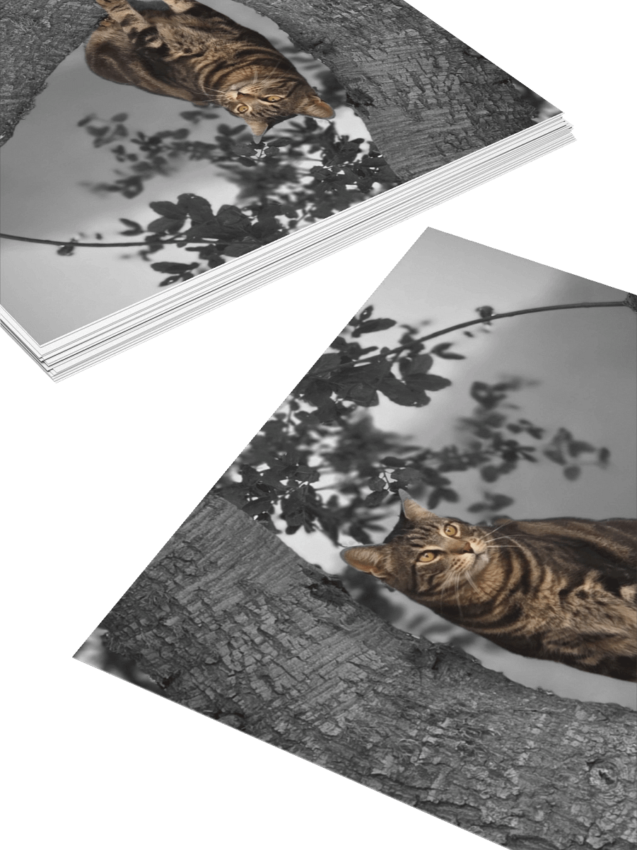Whiskered Wanderlust Stickers product image (11)