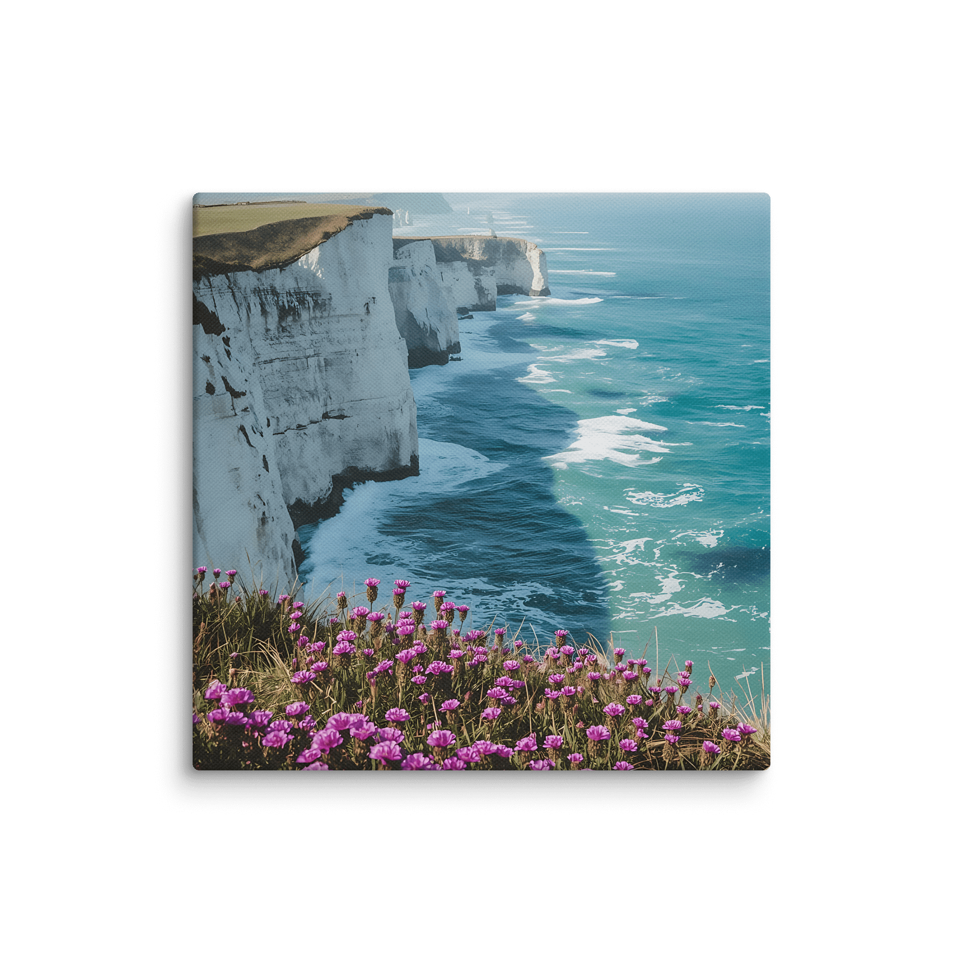 meadow on cliff by the seashore product image (1)