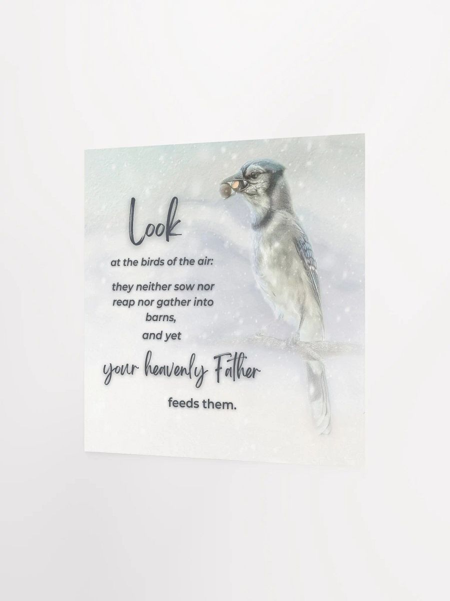 Birds Of The Air product image (6)