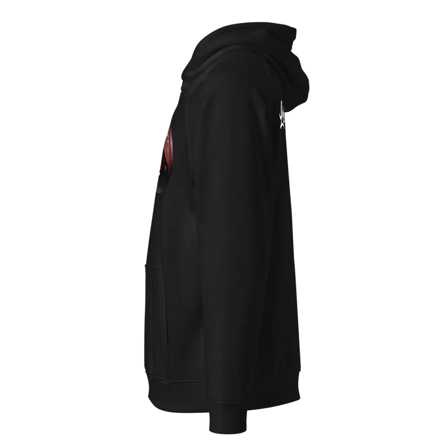 Lei da Combustão DBDF Hoodie product image (4)