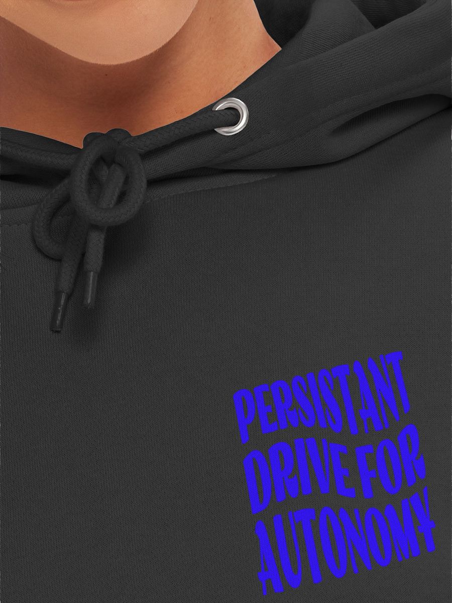 Autonomy Drive Unisex Hoodie product image (7)