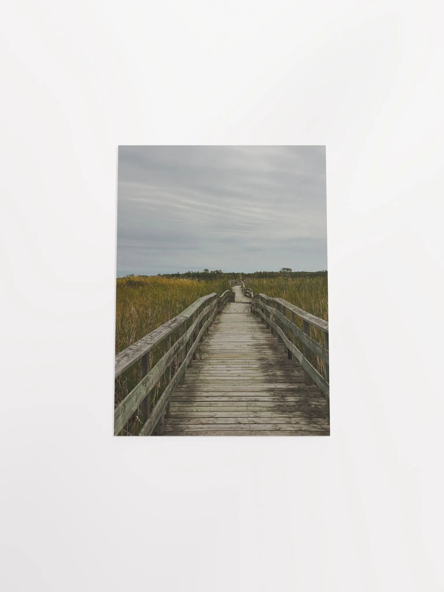Path (Premium Matte Poster) product image (24)