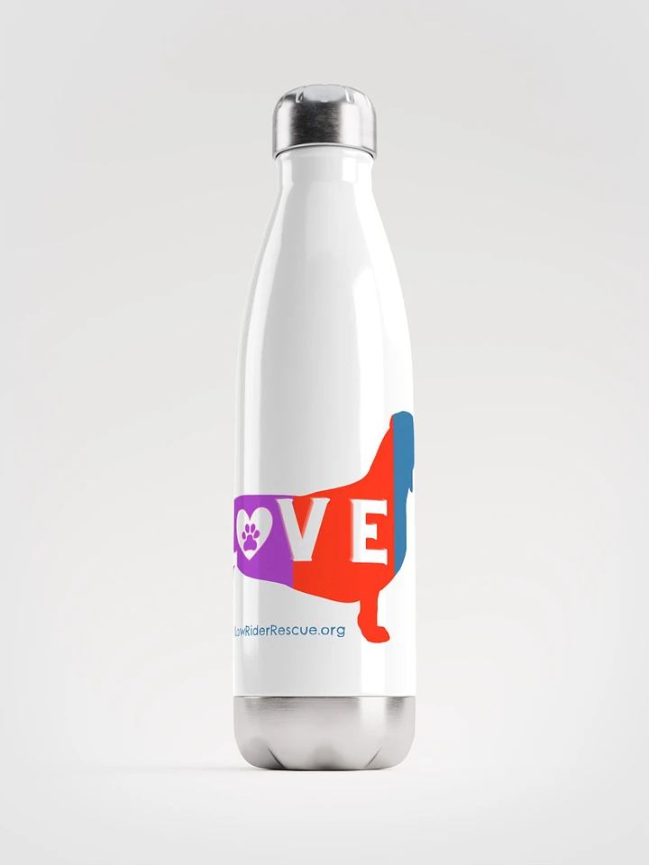 LOVE Dachshunds - colorful stainless steel water bottle product image (1)