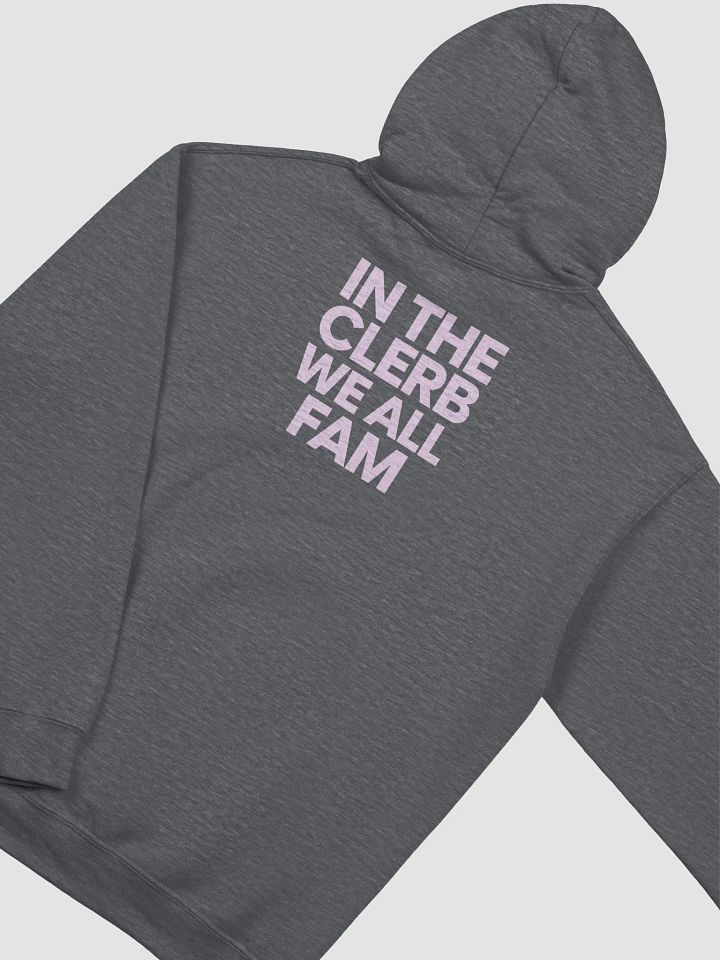 IN THE CLERB, WE ALL FAM Classic Hoodie product image (1)