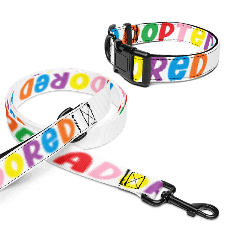 Adopted & Adored Pet Collar Set product image (1)